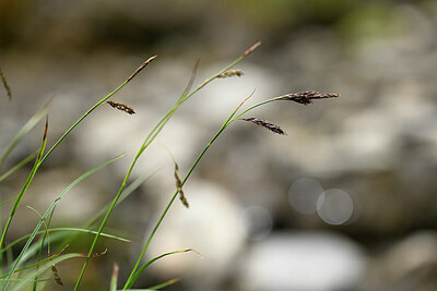 BUITEN BEELD Foto: 444143