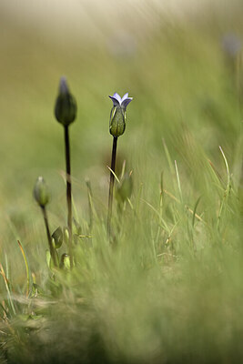 BUITEN BEELD Foto: 444151