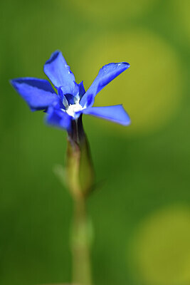 BUITEN BEELD Foto: 444154