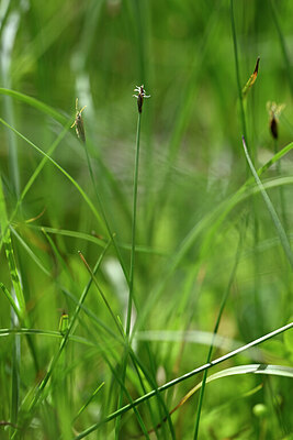 BUITEN BEELD Foto: 444155