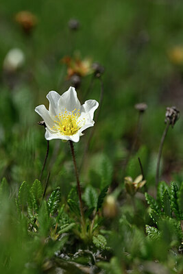 BUITEN BEELD Foto: 444165