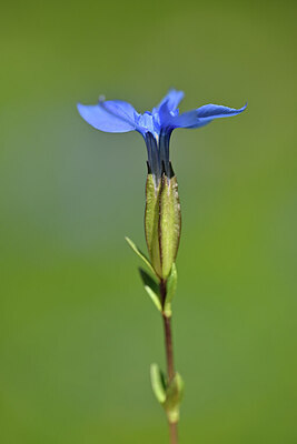 BUITEN BEELD Foto: 444173