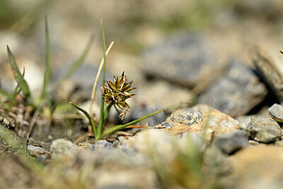 BUITEN BEELD Foto: 444178