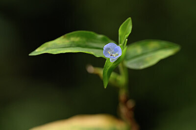 BUITEN BEELD Foto: 444194