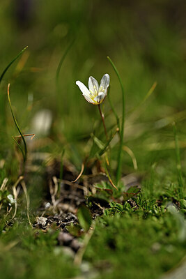 BUITEN BEELD Foto: 444206