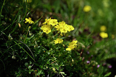 BUITEN BEELD Foto: 444215