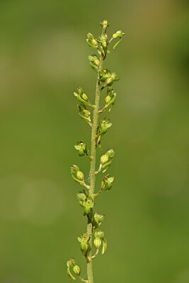 BUITEN BEELD Foto: 444229
