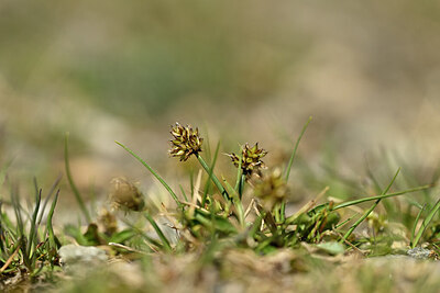 BUITEN BEELD Foto: 444231
