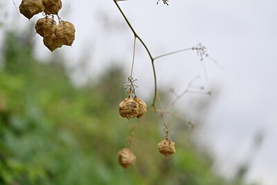 BUITEN BEELD Foto: 444251