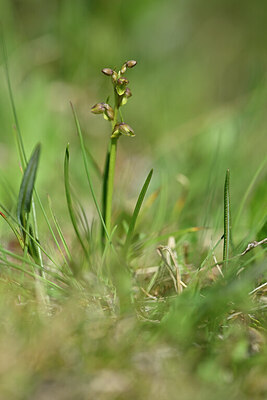 BUITEN BEELD Foto: 444252
