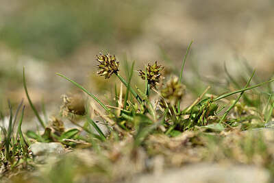 BUITEN BEELD Foto: 444254