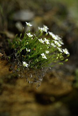 BUITEN BEELD Foto: 444268