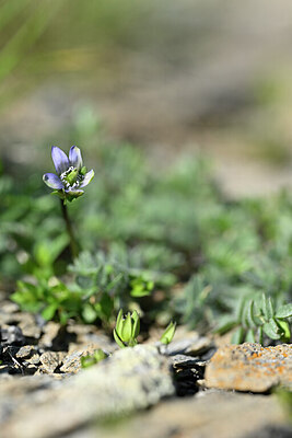 BUITEN BEELD Foto: 444276