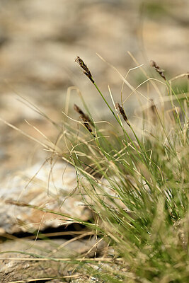 BUITEN BEELD Foto: 444295