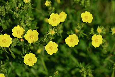 BUITEN BEELD Foto: 444305