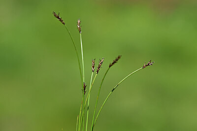 BUITEN BEELD Foto: 444328