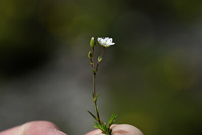 BUITEN BEELD Foto: 444329