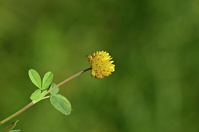 BUITEN BEELD Foto: 444330