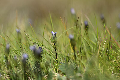 BUITEN BEELD Foto: 444345