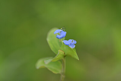 BUITEN BEELD Foto: 444363