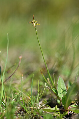 BUITEN BEELD Foto: 444364