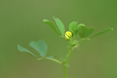 BUITEN BEELD Foto: 444365