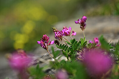 BUITEN BEELD Foto: 444374