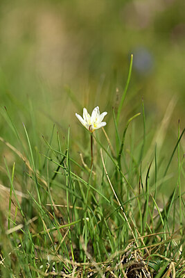 BUITEN BEELD Foto: 444377