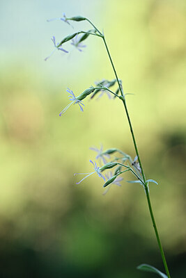 BUITEN BEELD Foto: 444378
