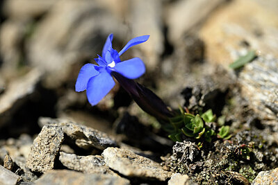 BUITEN BEELD Foto: 444382