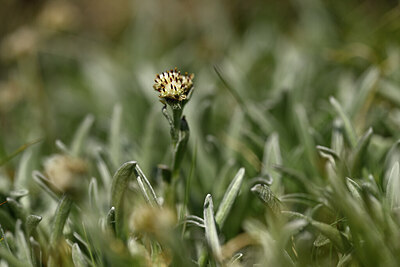 BUITEN BEELD Foto: 444385