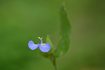 BUITEN BEELD Foto: 444394