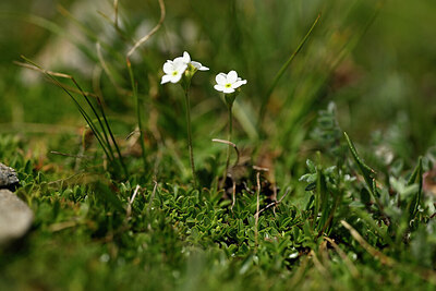 BUITEN BEELD Foto: 444403
