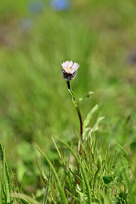 BUITEN BEELD Foto: 444405