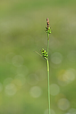 BUITEN BEELD Foto: 444412