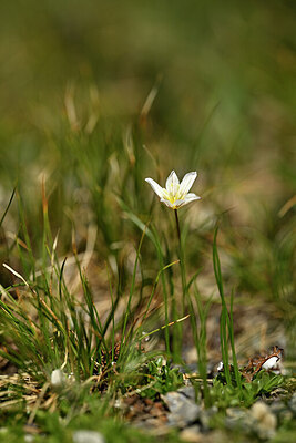 BUITEN BEELD Foto: 444415