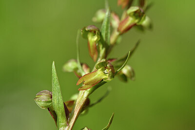 BUITEN BEELD Foto: 444422