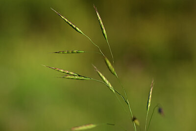 BUITEN BEELD Foto: 444433