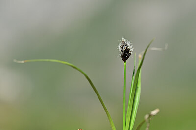 BUITEN BEELD Foto: 444436
