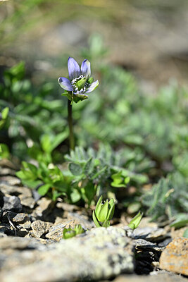 BUITEN BEELD Foto: 444451