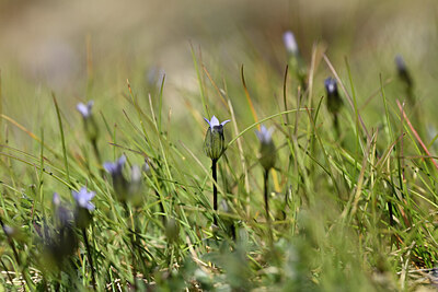 BUITEN BEELD Foto: 444460