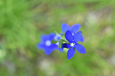 BUITEN BEELD Foto: 444466