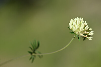 BUITEN BEELD Foto: 444469