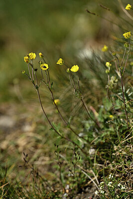 BUITEN BEELD Foto: 444470