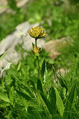 BUITEN BEELD Foto: 444472