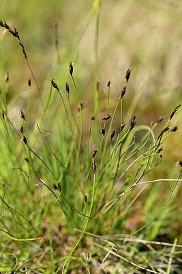 BUITEN BEELD Foto: 444475
