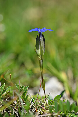 BUITEN BEELD Foto: 444481