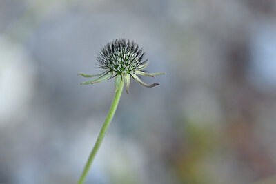 BUITEN BEELD Foto: 444482