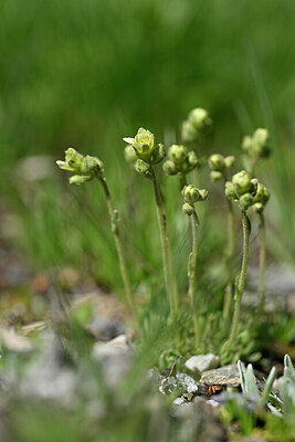 BUITEN BEELD Foto: 444487