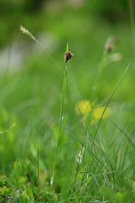 BUITEN BEELD Foto: 444501
